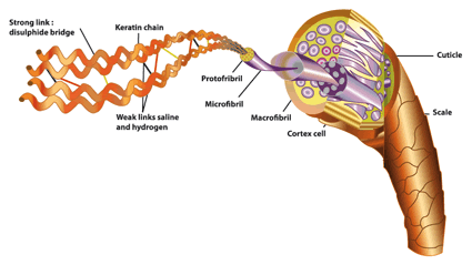 The Right Sequence: Color First, Keratin Second